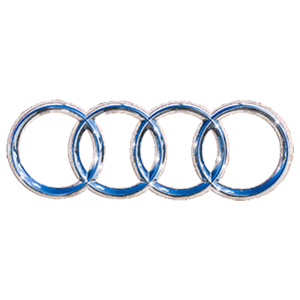 Audi Key Repair & Personalisation