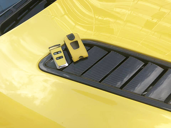Aston Martin Yellow Tang Glass ECU Key