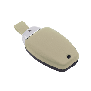 Aston Martin Volvo Era Fob Restoration